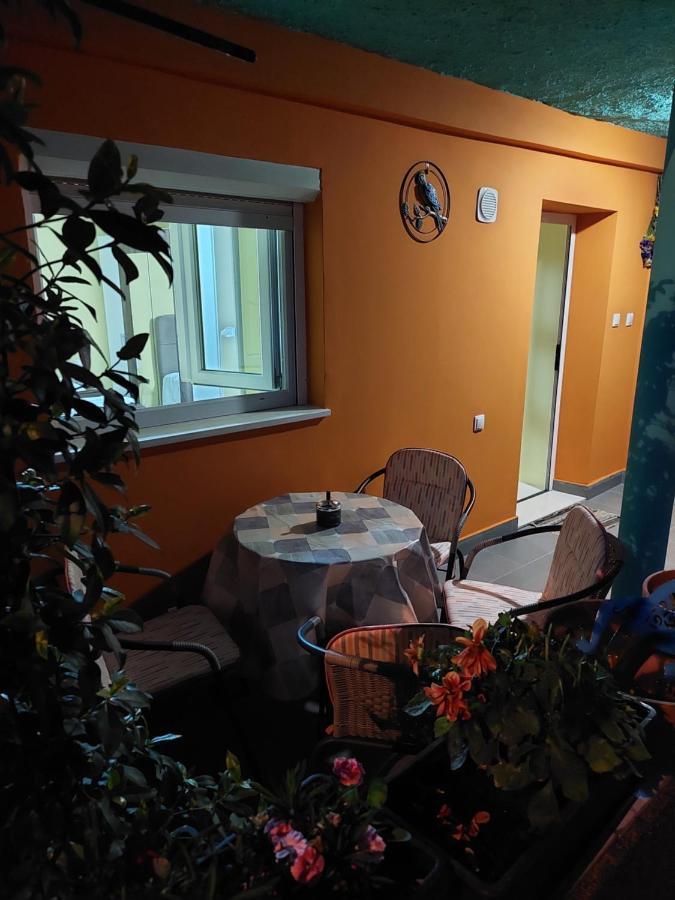 Mexicana Yellow Apartament Zadar