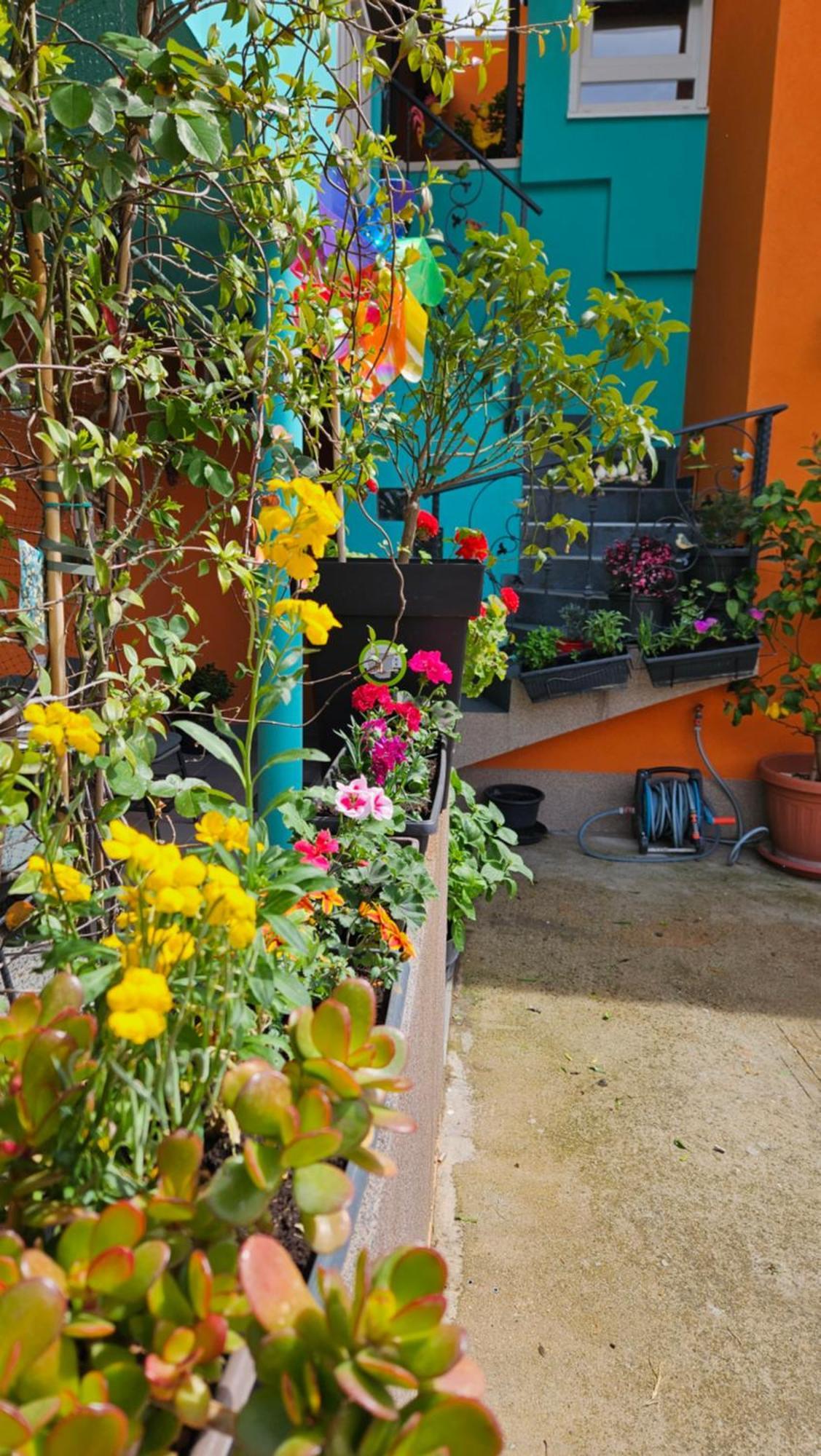 Lägenhet Mexicana Yellow